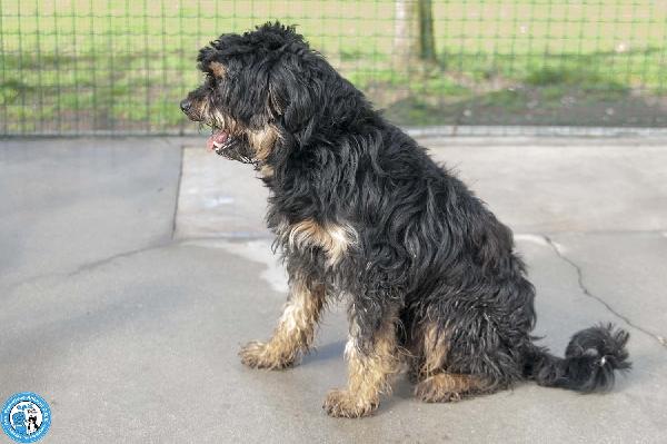 Teo: il riscatto di un piccolo guerriero Foto 3